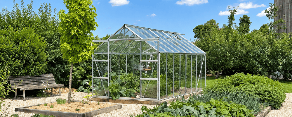 Serre Laurus LAMS en aluminium naturel au potager, avec porte et lucarnes de toiture ouvertes.